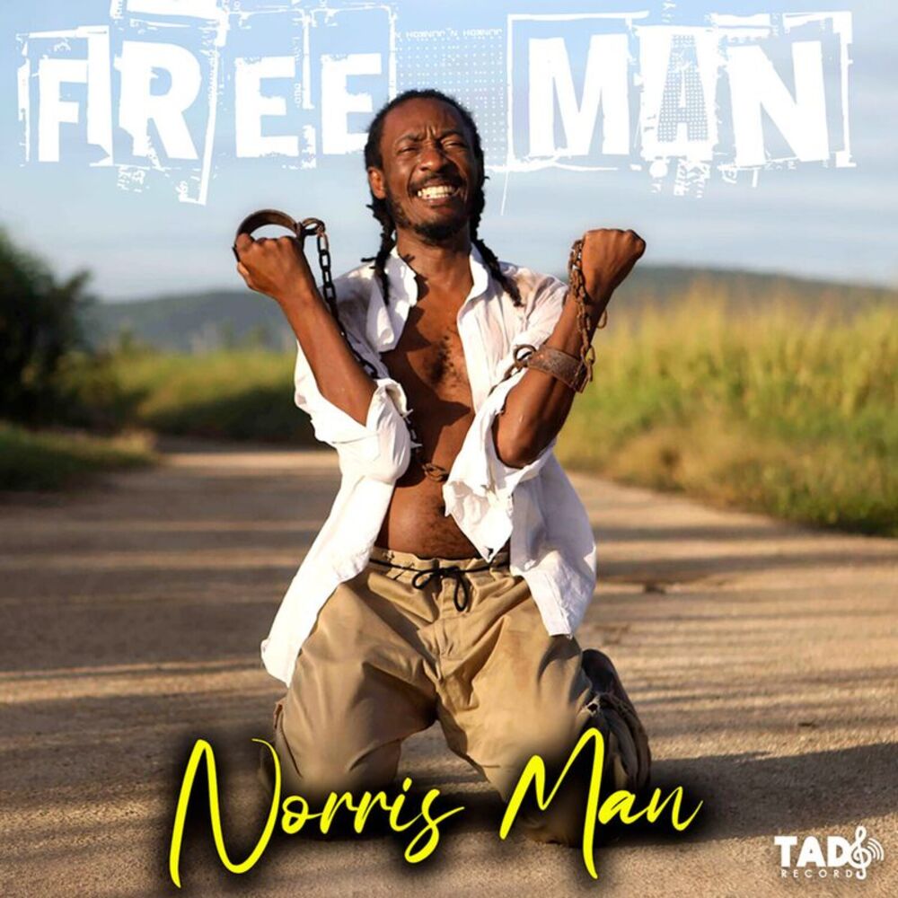 Dubwise Connection - Free Man  CD